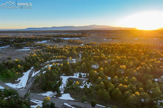 14954 Snowy Pine Point