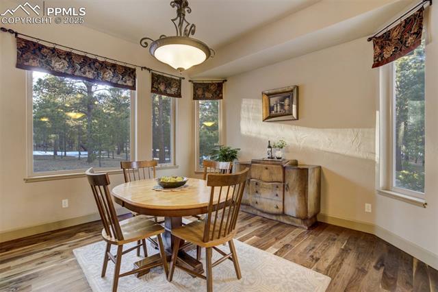 14954 Snowy Pine Point