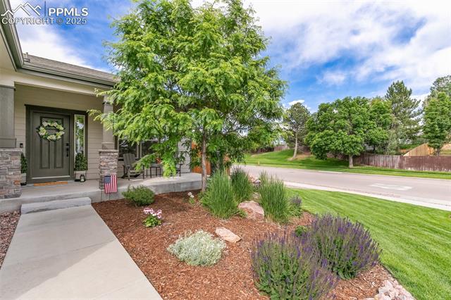 6792 David Anthony Court