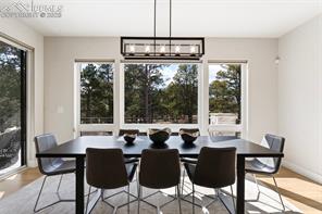 3258 Bark Tree Trail