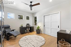 3258 Bark Tree Trail