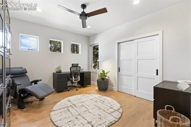 3258 Bark Tree Trail