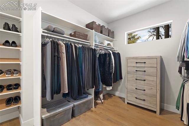 3258 Bark Tree Trail