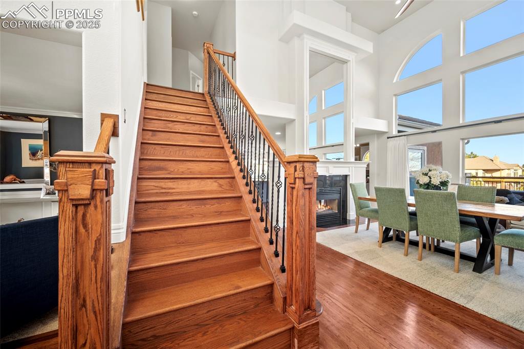 5485 Wittenberg Court