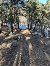 10625 Big Sky Trail