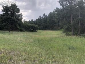 10625 Big Sky Trail