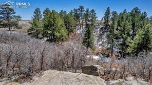 10625 Big Sky Trail