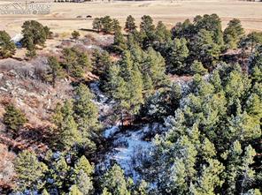 10625 Big Sky Trail