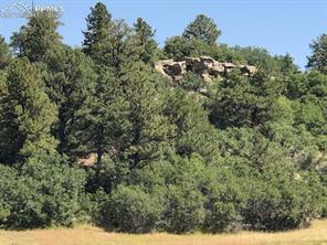 10625 Big Sky Trail