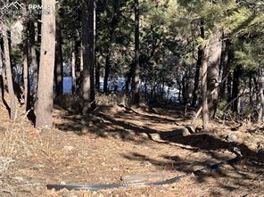 10625 Big Sky Trail
