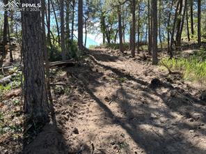 10625 Big Sky Trail