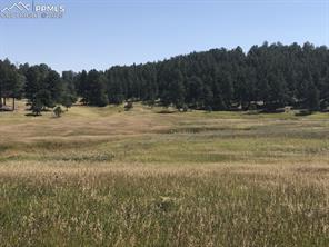 10625 Big Sky Trail