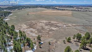10625 Big Sky Trail