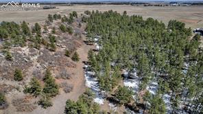 10625 Big Sky Trail