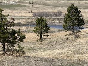 10625 Big Sky Trail