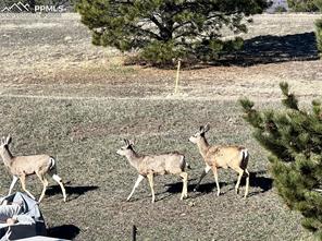 1682 Deer Creek Road