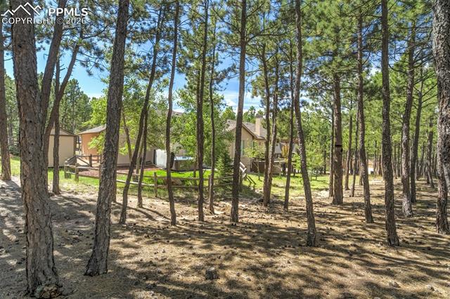 270 Lodgepole Way