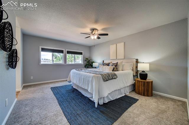 7175 Painted Rock Drive