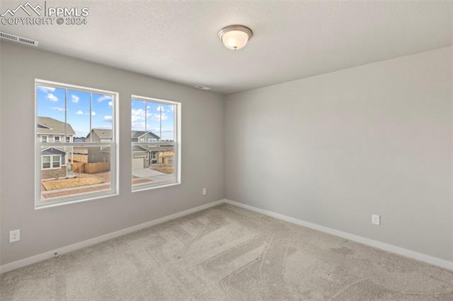 8022 Goldenray Place