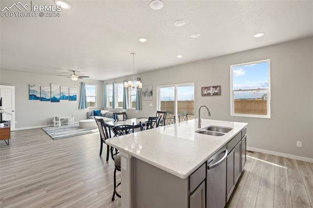 8022 Goldenray Place