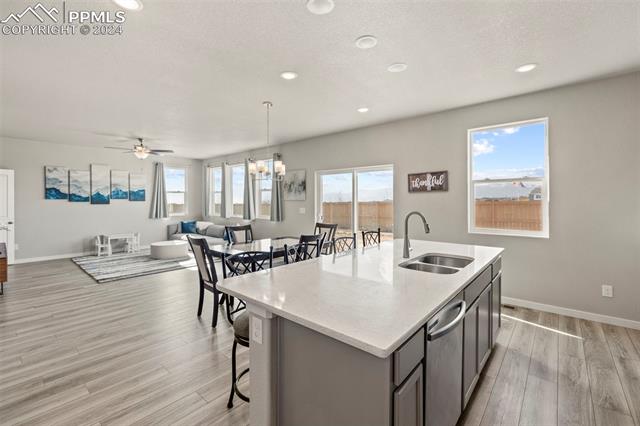 8022 Goldenray Place