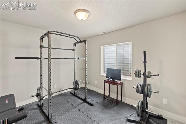 8022 Goldenray Place