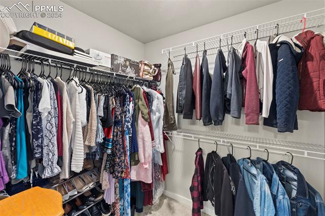 8022 Goldenray Place