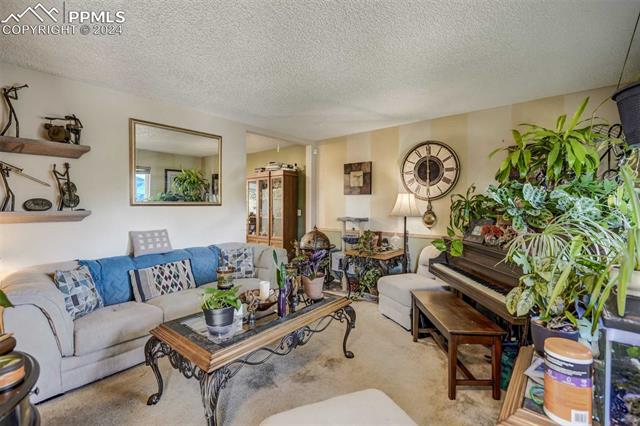 2124 Whitewood Drive