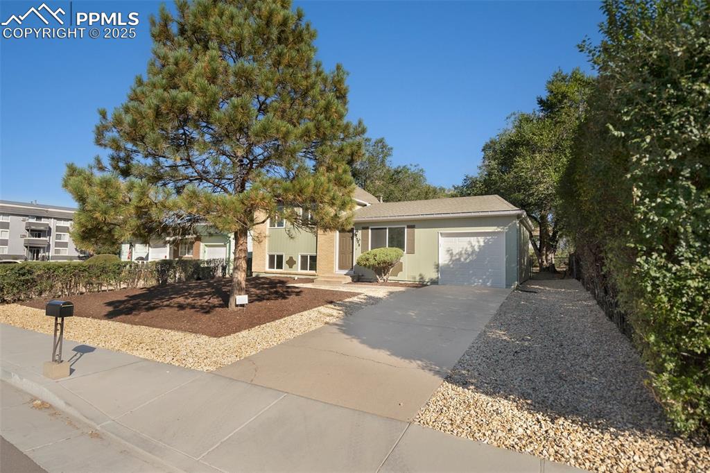 3908 Whittier Drive