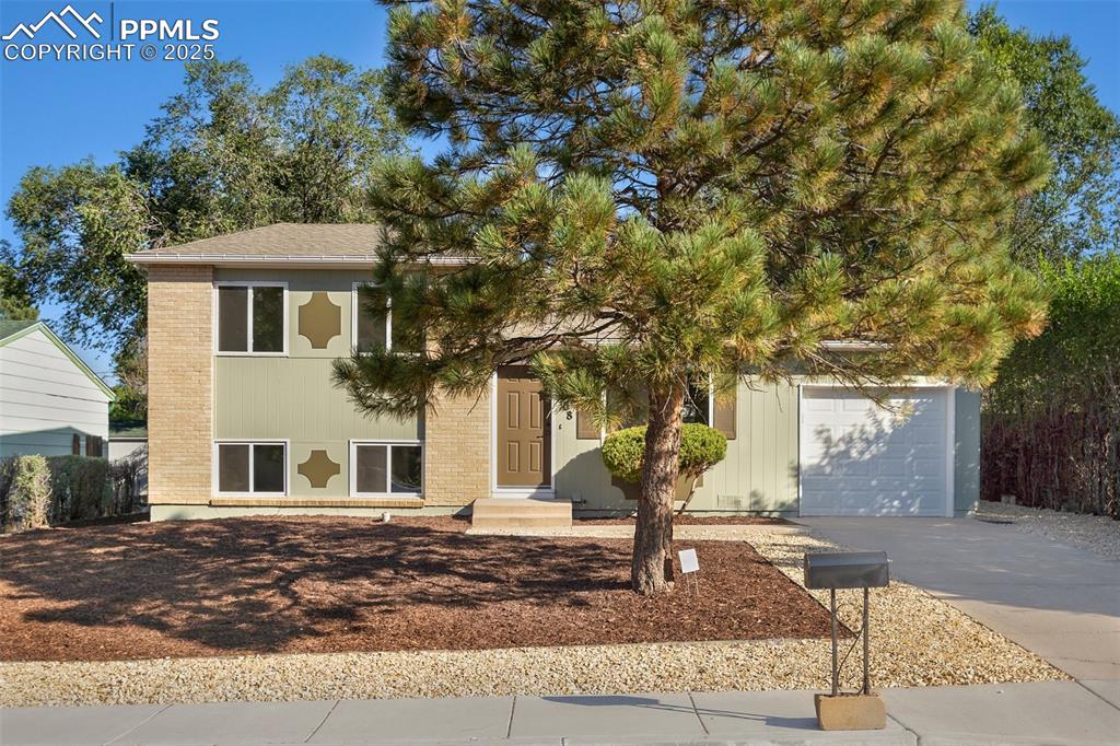 3908 Whittier Drive