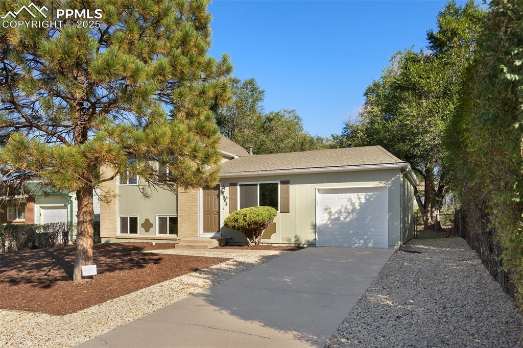 3908 Whittier Drive