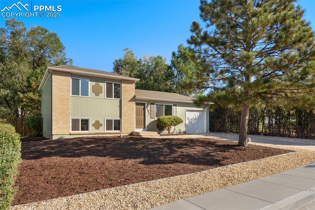 3908 Whittier Drive