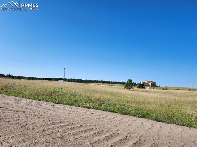 12205 Forest Green Drive