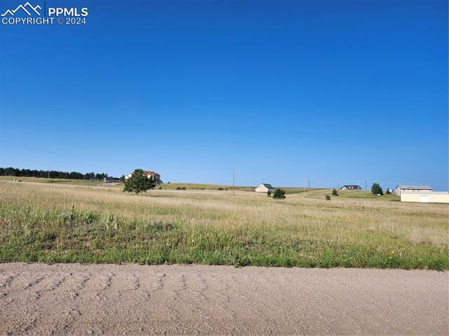 12205 Forest Green Drive