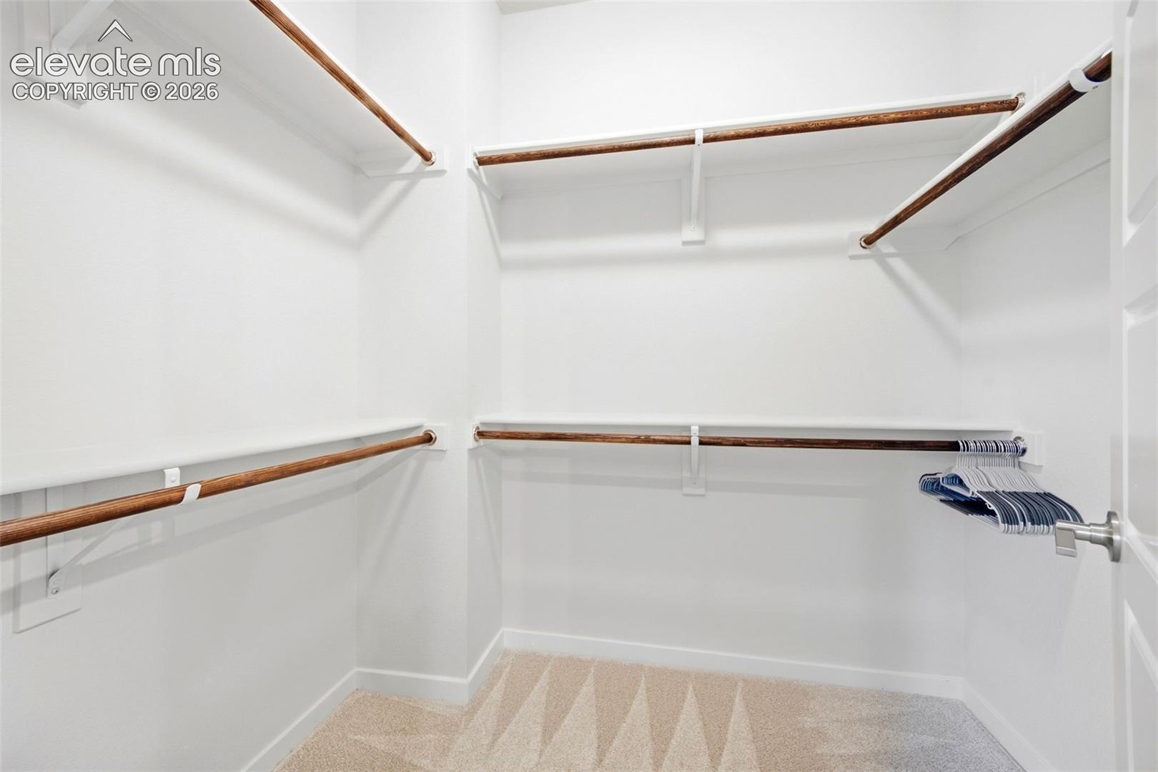 11314 Modern Meadow Loop