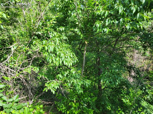 830 E San Rafael Street