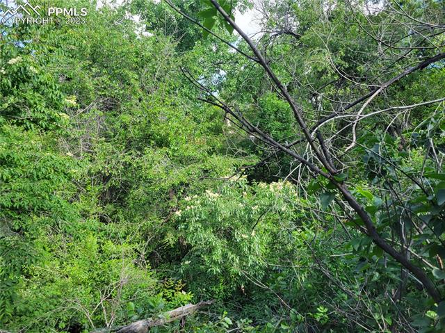 830 E San Rafael Street