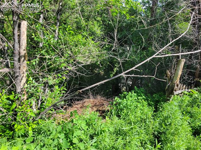 830 E San Rafael Street