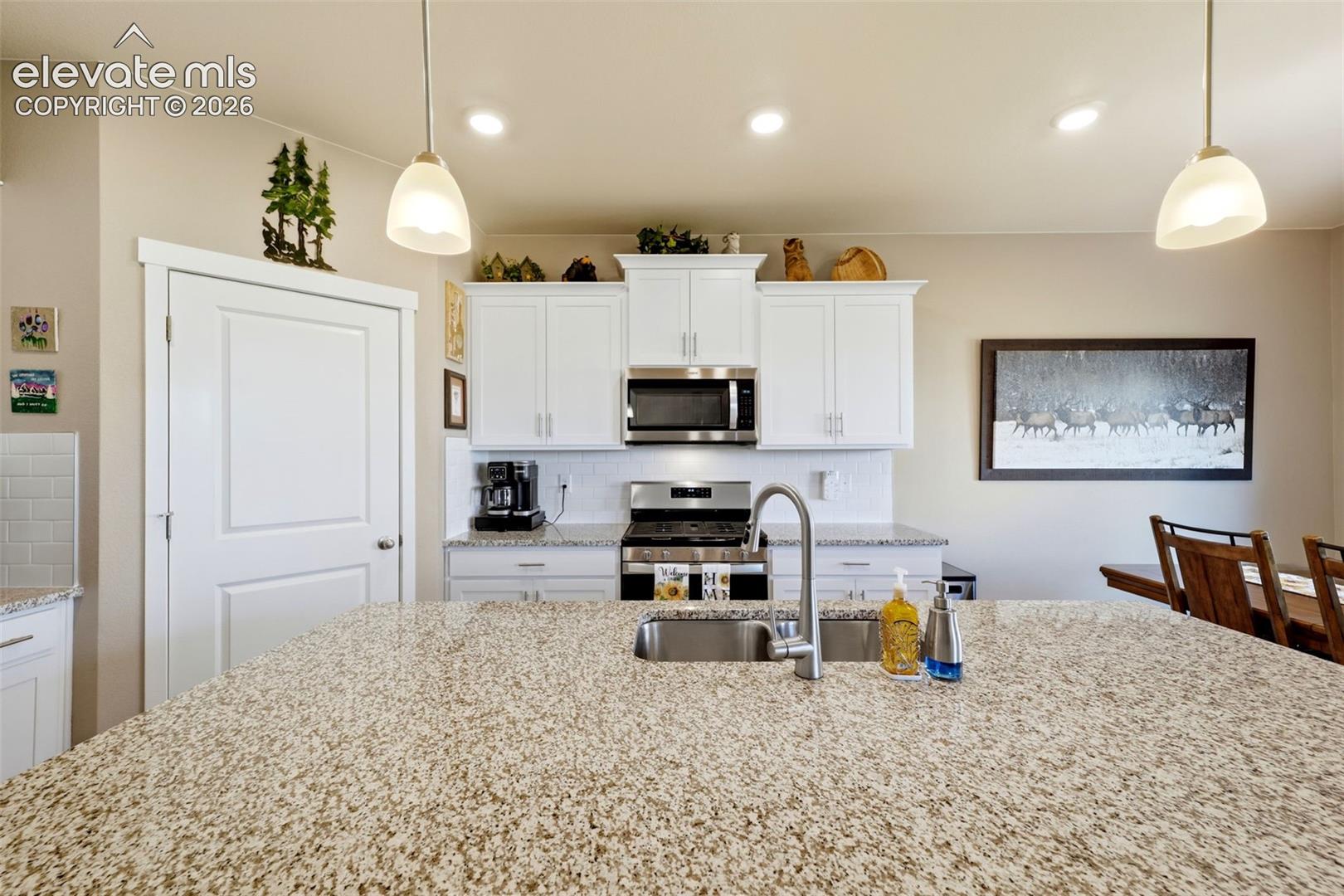 2244 Coyote Mint Drive
