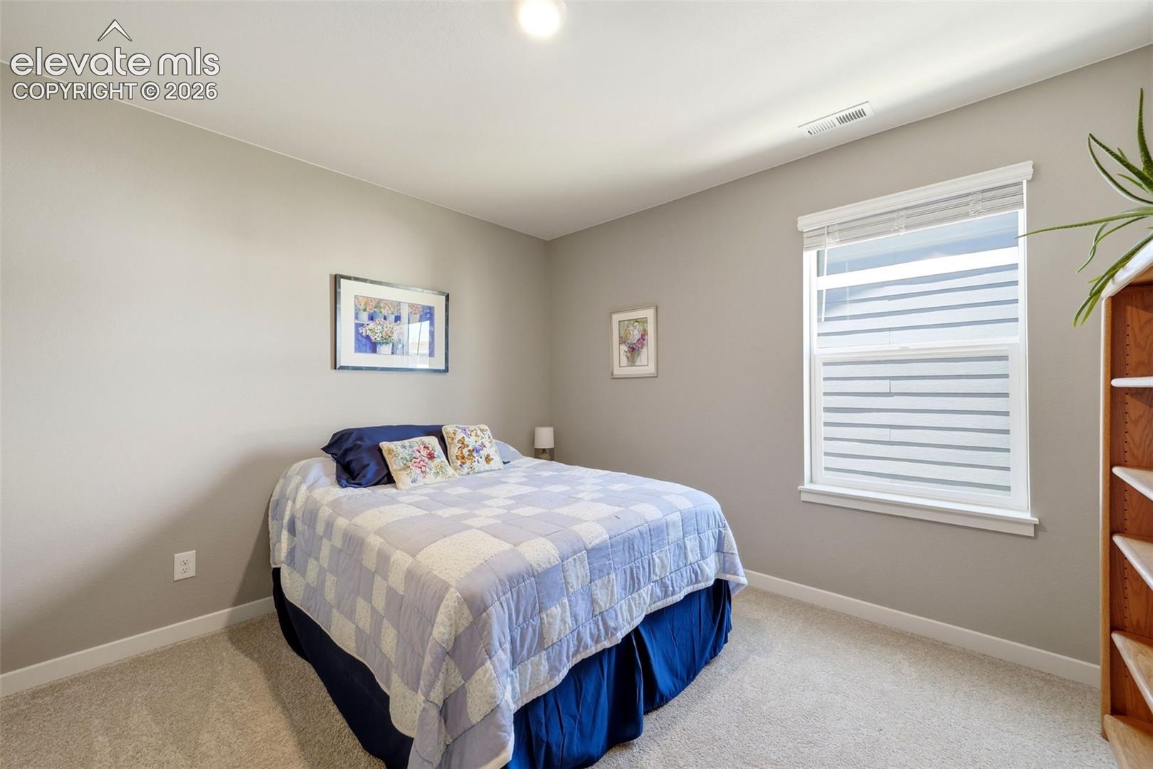 2244 Coyote Mint Drive