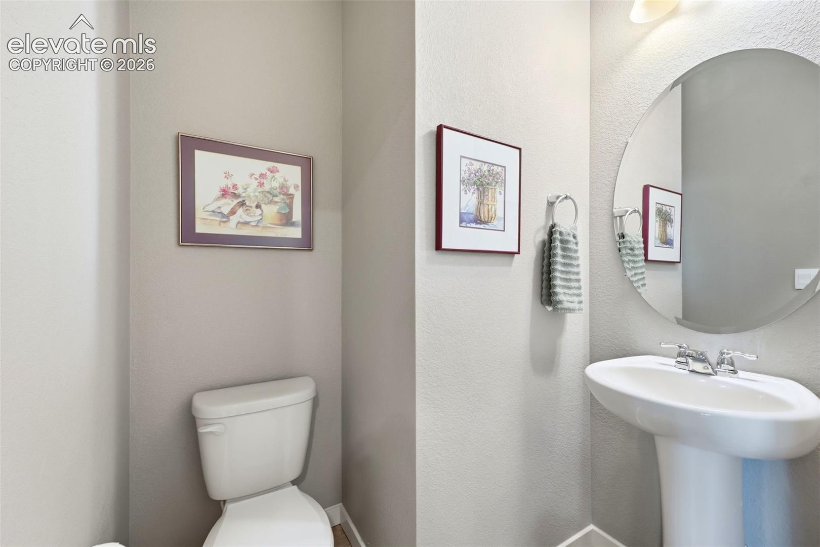 2244 Coyote Mint Drive