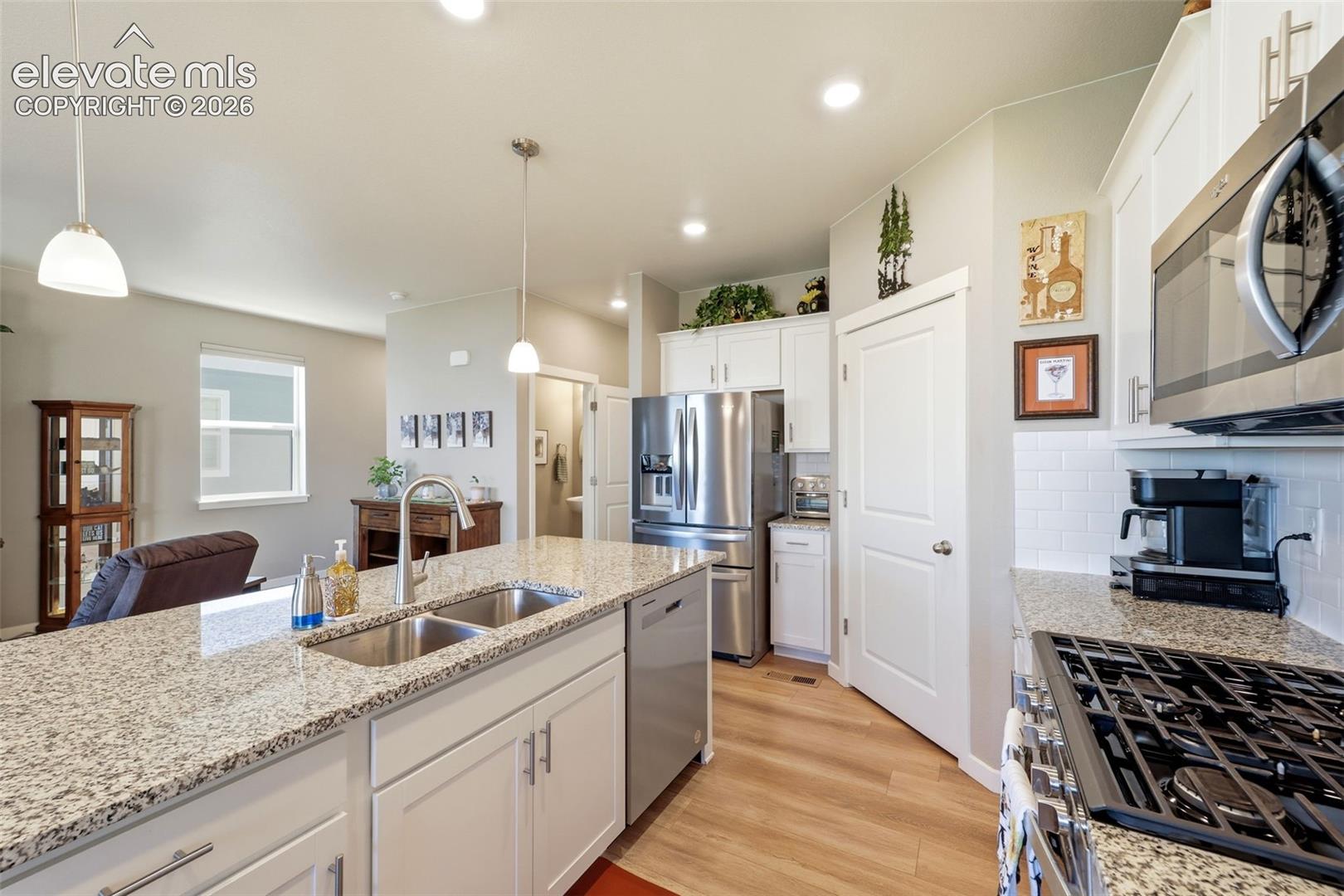 2244 Coyote Mint Drive