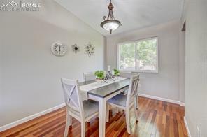 10 Bellflower Court