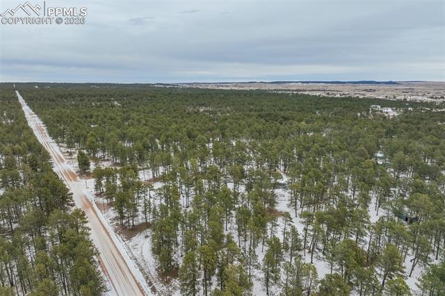 12375 Mount Shasta Drive