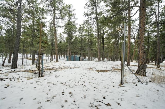 12375 Mount Shasta Drive