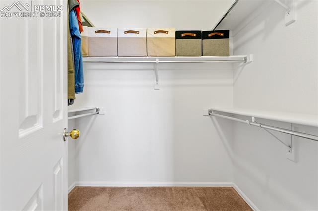 7316 Straggler Circle