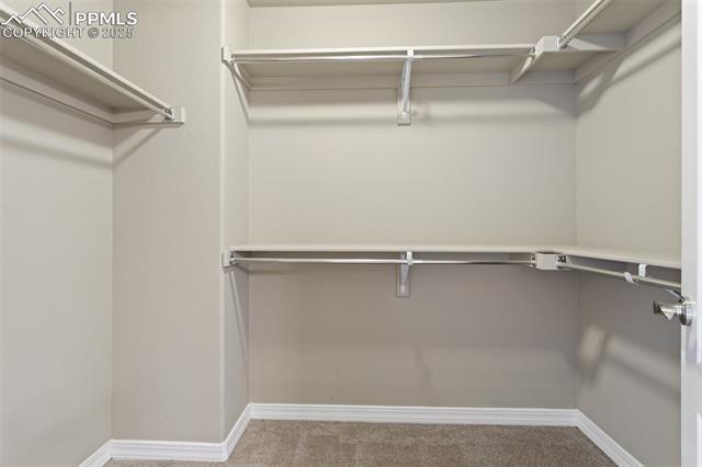 453 Gray Horse Alley