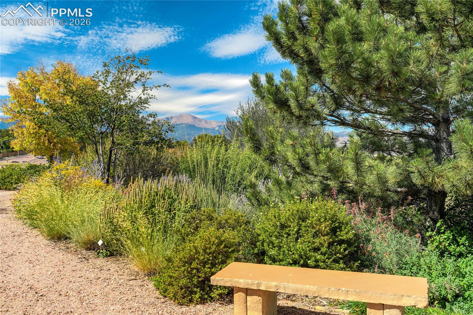 4169 Tree Creek Trail