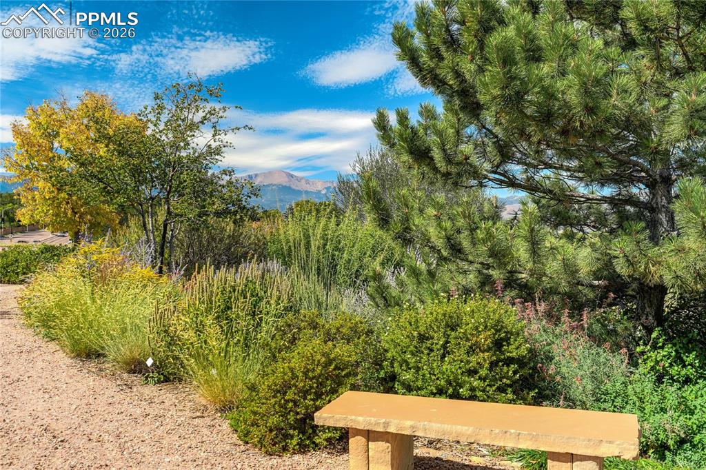 4169 Tree Creek Trail