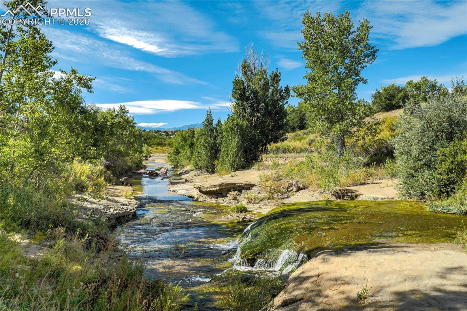 4169 Tree Creek Trail